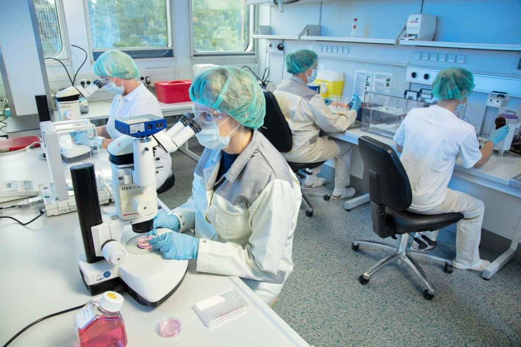 Laboranten einer Berliner pharmazeutischen Firma untersuchen Seren unter dem Mikroskop